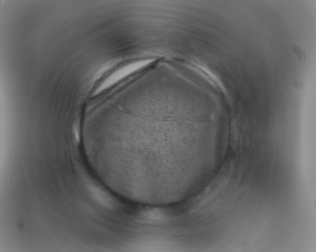 X0000113860062200910081714