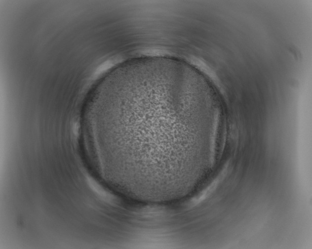 X0000113860063200910081714