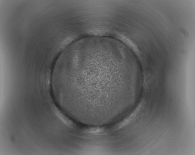 X0000113860065200910081714