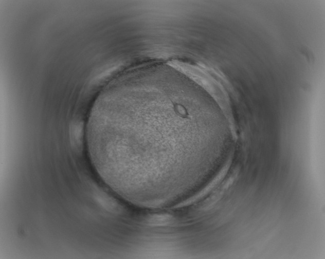 X0000113860066200910081714