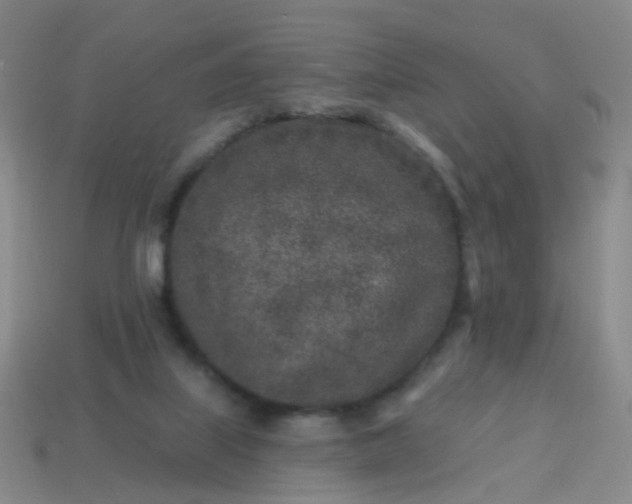 X0000113860067200910081714