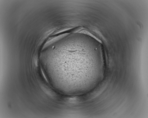 X0000113860068200910081714