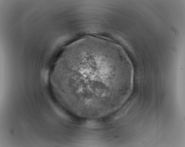 X0000113860070200910081715