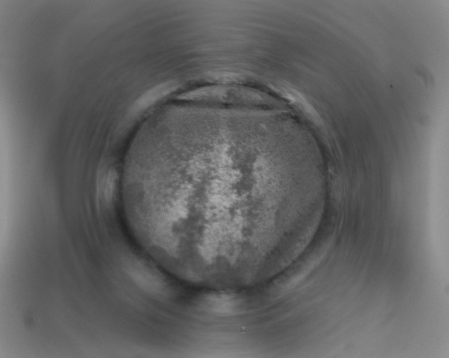 X0000113860071200910081715