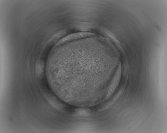 X0000113860073200910081715