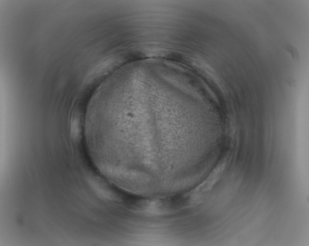 X0000113860074200910081715