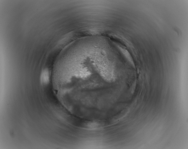 X0000113860075200910081715
