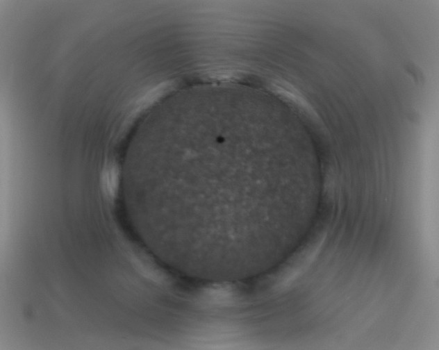 X0000113860076200910081715