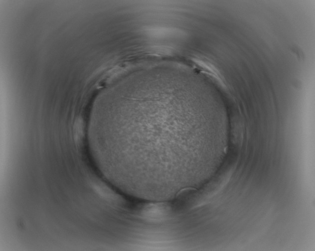 X0000113860077200910081715