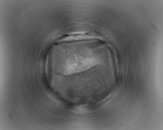 X0000113860078200910081715