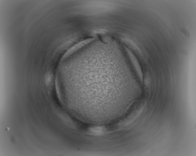 X0000113860079200910081715