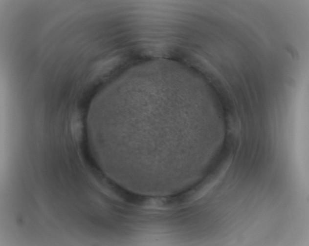 X0000113860080200910081715