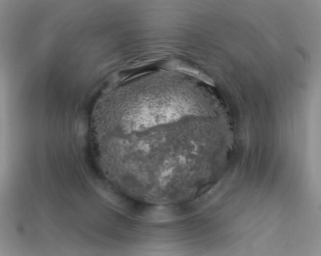X0000113860082200910081715