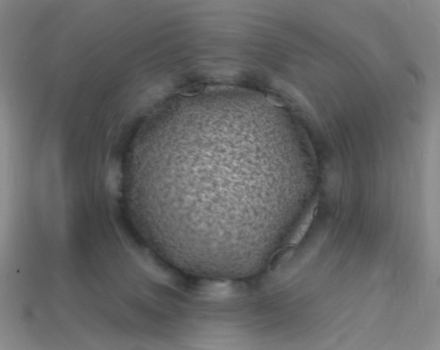 X0000113860083200910081715