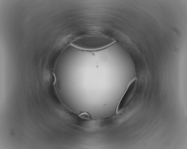 X0000113860084200910081715