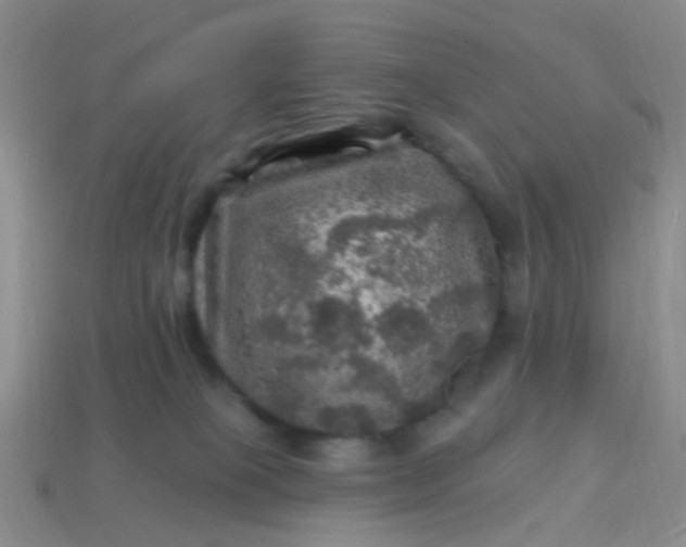 X0000113860085200910081715