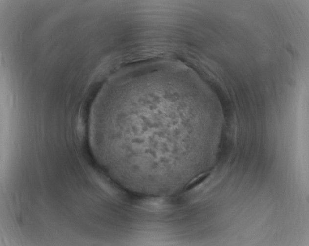 X0000113860086200910081715