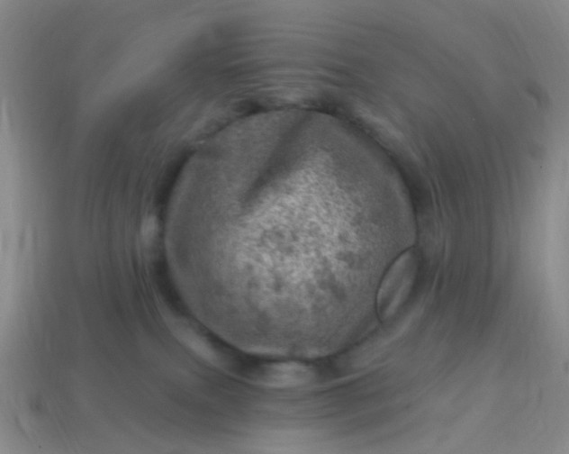 X0000113860087200910081715