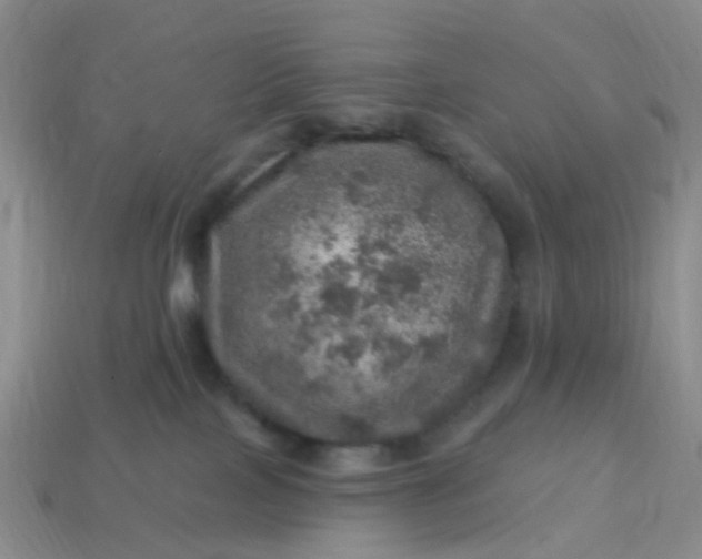 X0000113860089200910081715