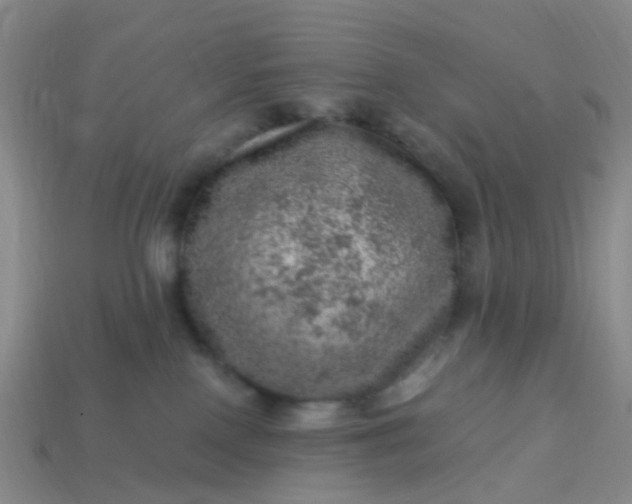 X0000113860090200910081715
