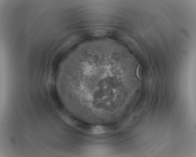 X0000113860091200910081715