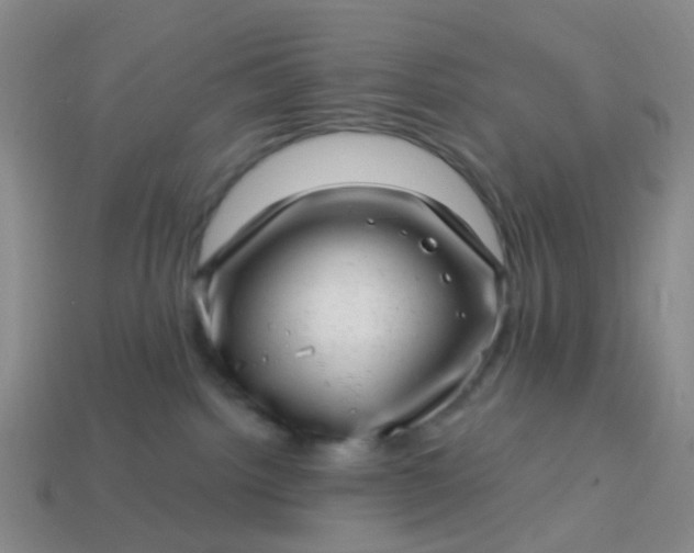 X0000113860092200910081715