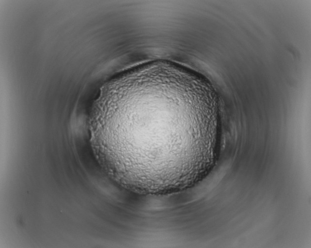 X0000113860093200910081715