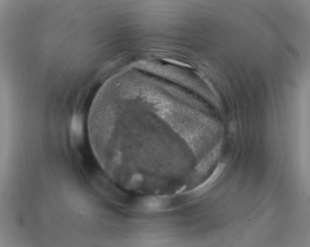 X0000113860094200910081715