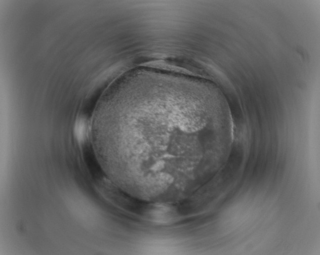 X0000113860095200910081715