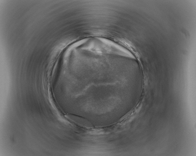 X0000113860097200910081714