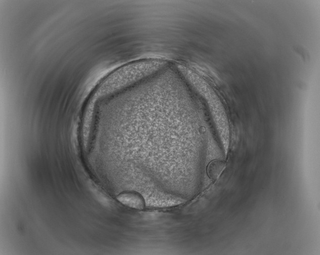 X0000113860098200910081714