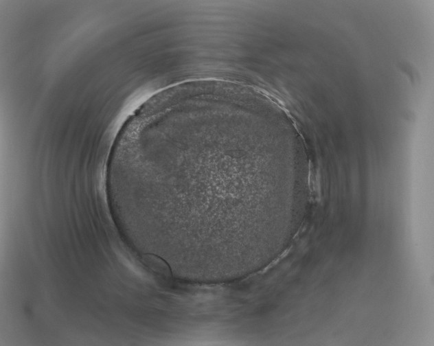 X0000113860099200910081714