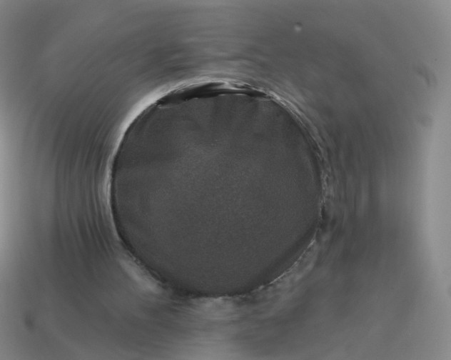 X0000113860100200910081714