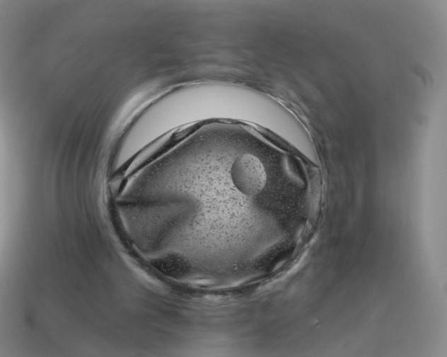 X0000113860101200910081714