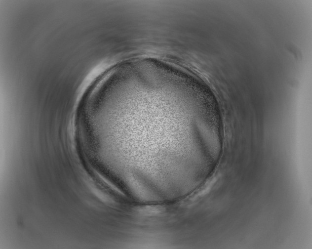 X0000113860102200910081714