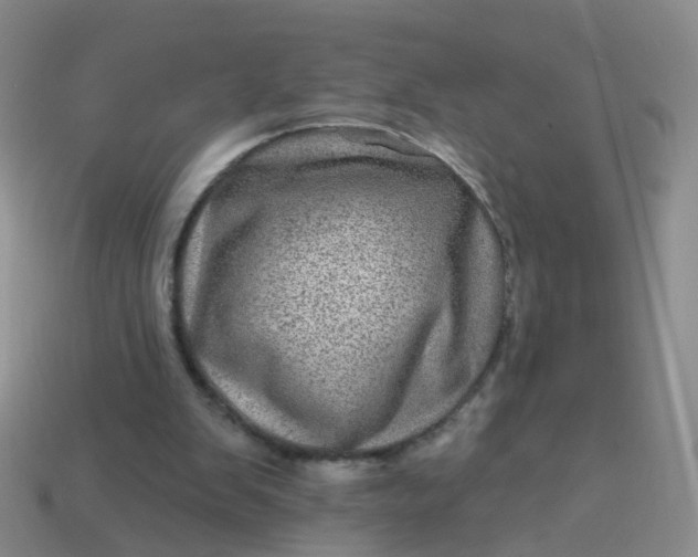 X0000113860103200910081714