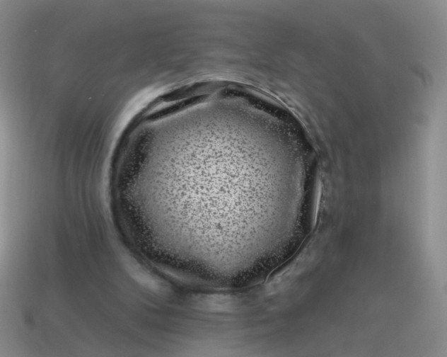 X0000113860104200910081714
