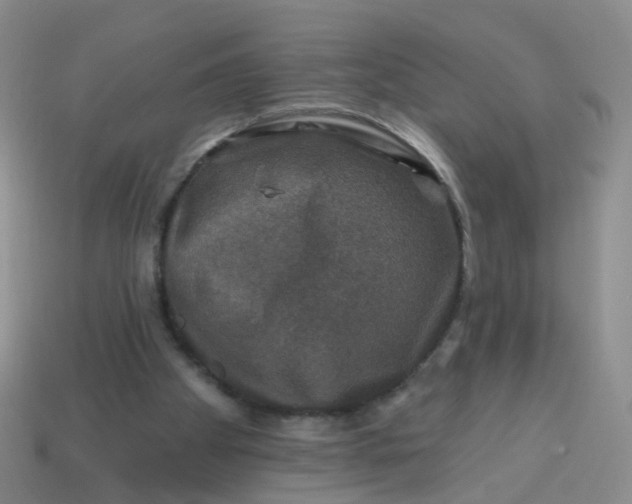 X0000113860105200910081714