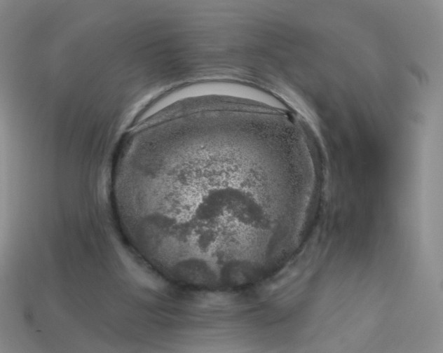 X0000113860107200910081714