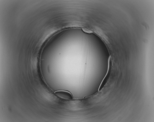 X0000113860108200910081714