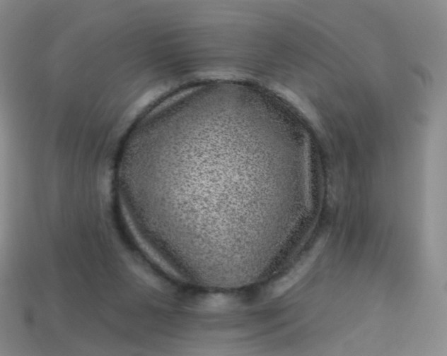 X0000113860111200910081714
