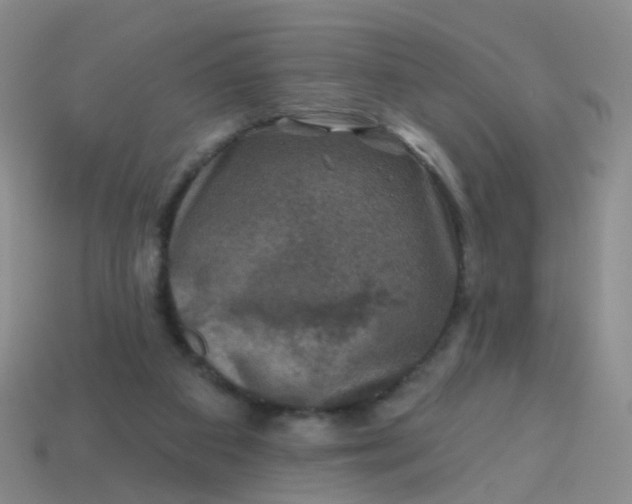 X0000113860113200910081714