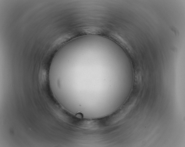 X0000113860117200910081714