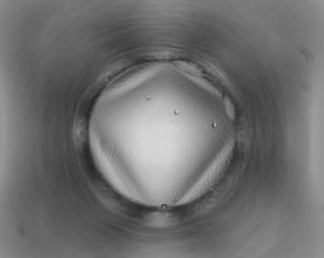 X0000113860119200910081714