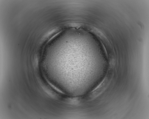 X0000113860120200910081714