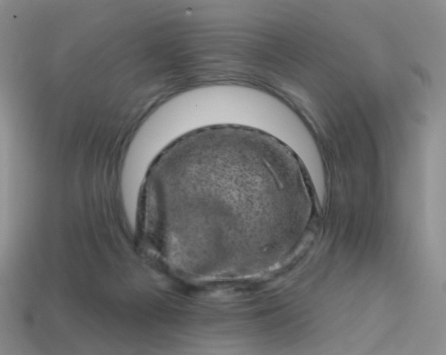 X0000113860121200910081714
