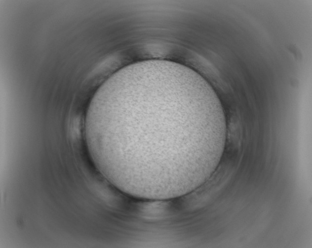 X0000113860122200910081714