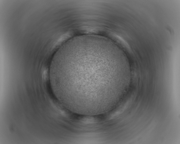 X0000113860123200910081714