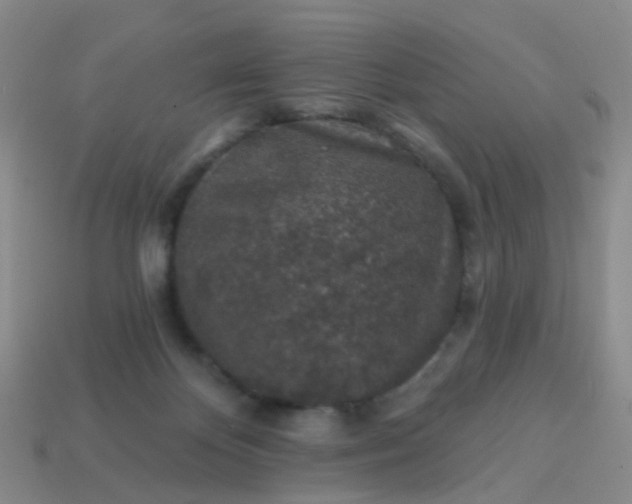 X0000113860124200910081714