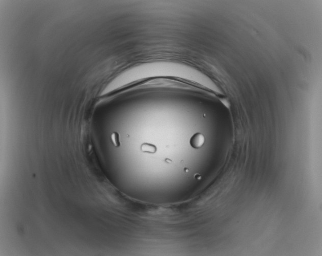 X0000113860125200910081714